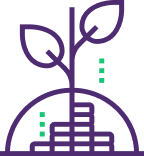 noun growth 1315720 1